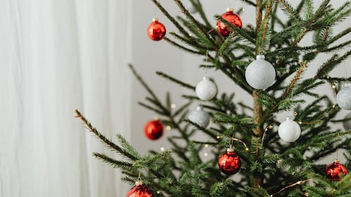 Quand commander son sapin de Noël?