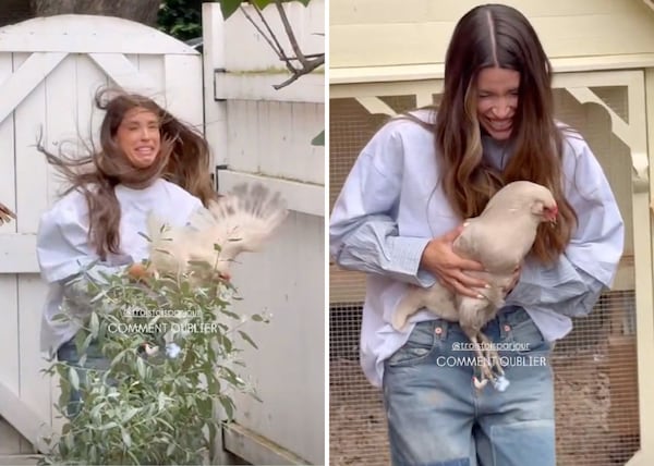 Marilou tente une photo bucolique avec une poule et ça dérape