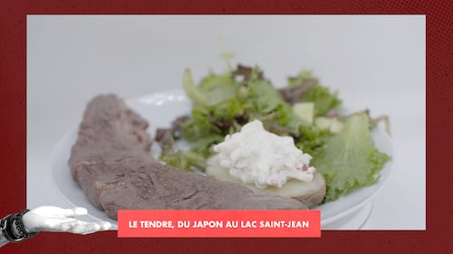 Le tendre, du Japon au Lac Saint-Jean
