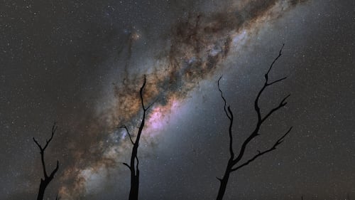 Horoscope de la semaine du 11 mai: nervosité et tsunami d’émotions pour ces 3 signes