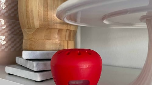 Ce piège à mouches à fruits se vend comme des petits pains chauds: j'ai testé