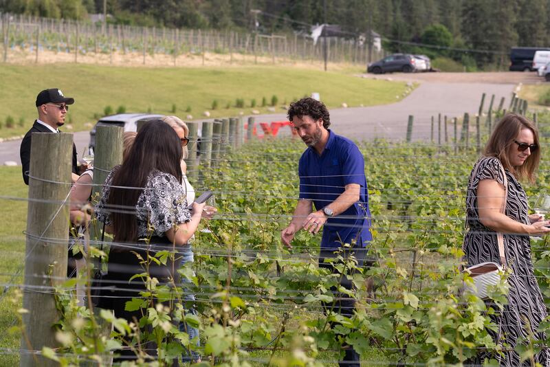 Visite vignoble