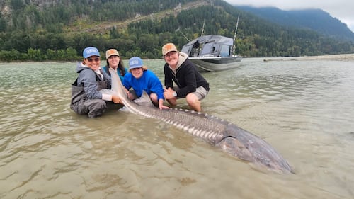 Vous aimez la pêche? Cette expérience complètement folle vous attend à une heure de Vancouver