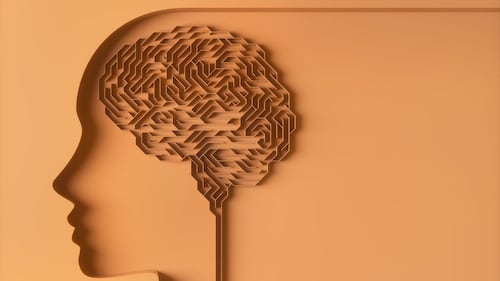 Voici les 12 personnes avec le plus grand QI au monde