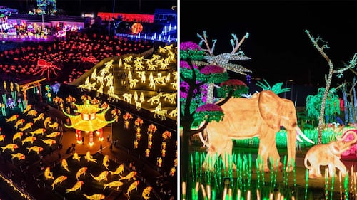 Festilumi: un labyrinthe s’ajoute au parcours lumineux du Marché Central