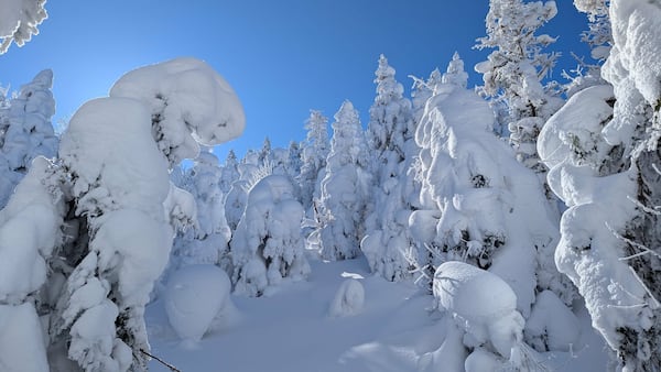 Voici pourquoi vous devez sortir dehors, peu importe la météo