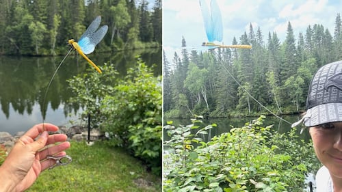 Ce gadget viral éloigne-t-il vraiment les mouches à chevreuil? Je l’ai mis à l’épreuve