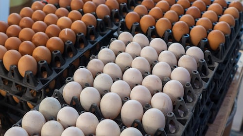 Risque de salmonelle: jetez ces produits à base d’œufs