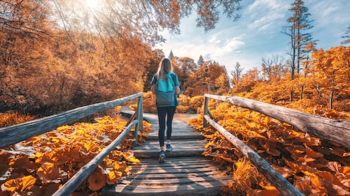 L’automne se découvre à pied : 15 essentiels pour vos randonnées