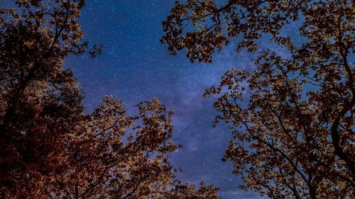 Horoscope de la semaine du 21 septembre 2026