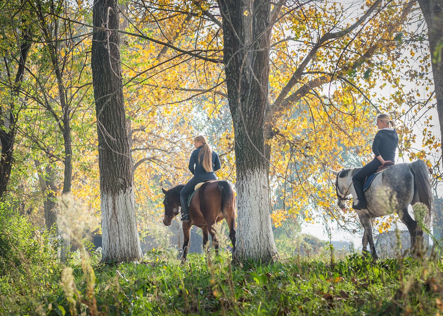 Automne Course 5 activités d'automne cool à faire avec sa nouvelle «date»