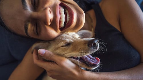 Quel type de chien êtes-vous selon votre signe astrologique?