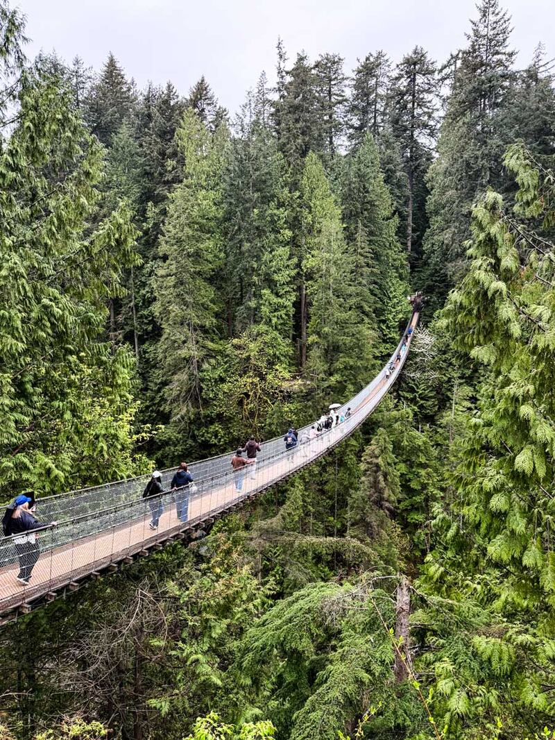 Capilano Suspension Bridge