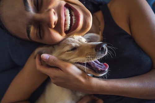 Quel type de chien êtes-vous selon votre signe astrologique?