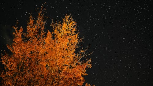 Prévisions astrologiques pour le mois d'octobre 2026