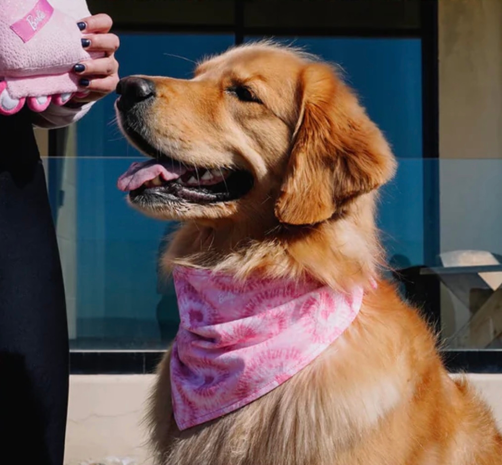 Bandana barbie pour chien personnalisé bandana rose pour chien
