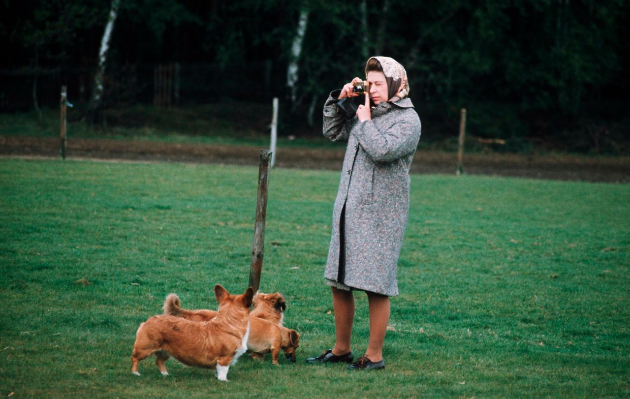 The Queen in Windsor Great Park photographing her corgis during the 60s.

Photo by Anwar Hussein
