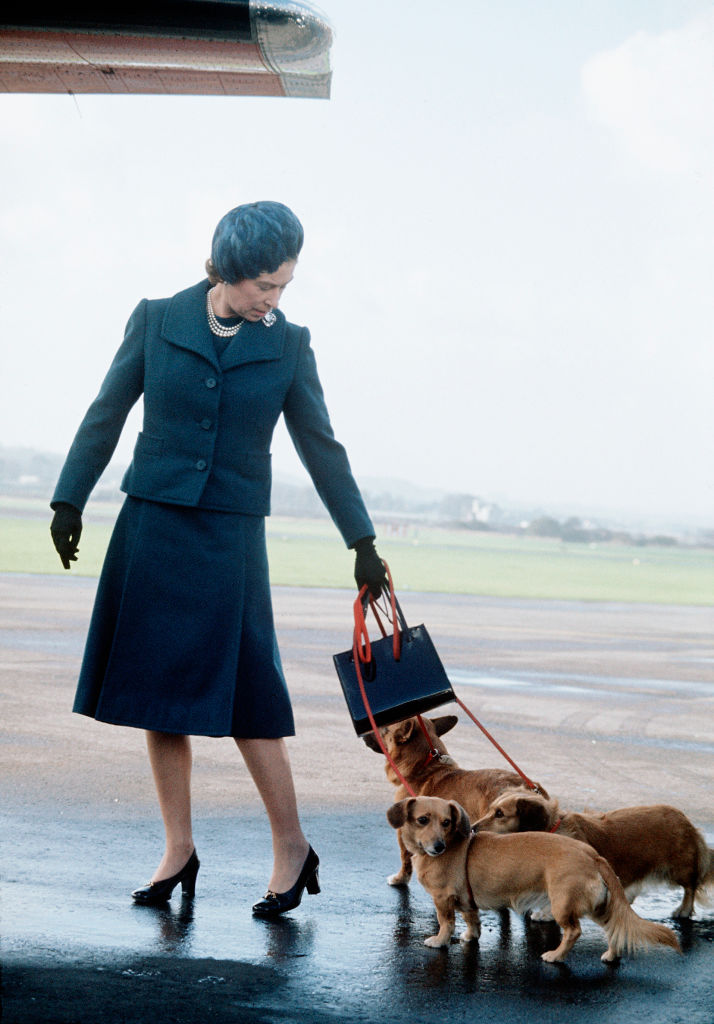 ABERDEEN;SCOTLAND - 1974: Queen Elizabeth ll arrives at Aberdeen Airport with her corgis to start her holidays in Balmoral, Scotland in 1974. (Photo by Anwar Hussein/Getty Images)