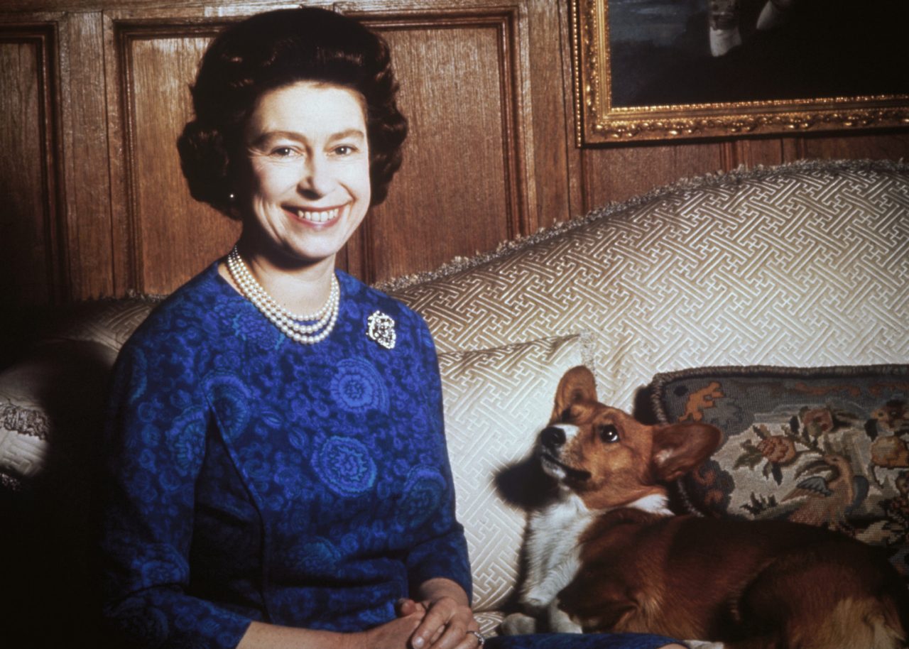 Queen Elizabeth II with a corgi, 1970. (Photo by Keystione/Hulton Archive/Getty Images)