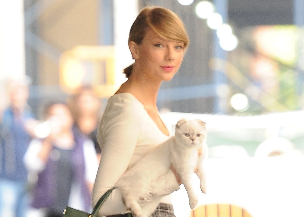NEW YORK, NY - SEPTEMBER 16:  Singer Taylor Swift and Cat are seen in Soho on September 16, 2014 in New York City.  (Photo by Raymond Hall/GC Images)