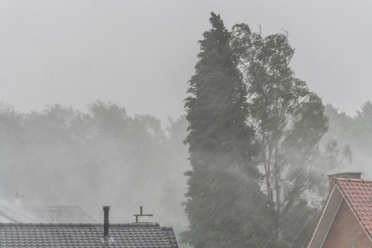 Heavy rain in spring, Auderghem, Brussels, Belgium
