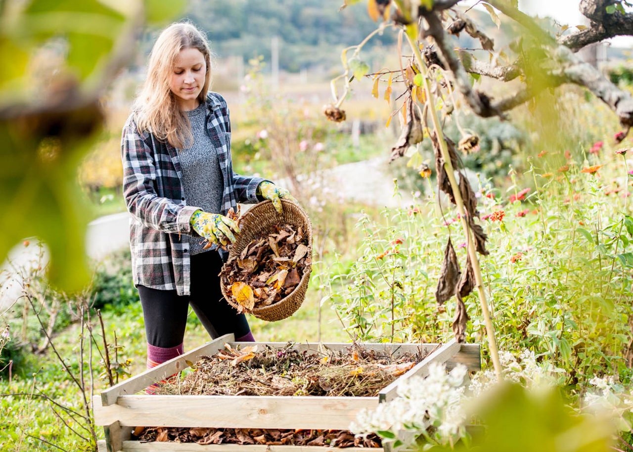 Smiling Young Woman Putting Leaves on Compost.