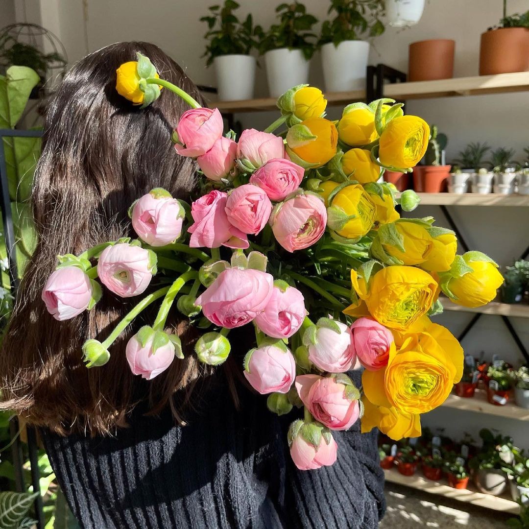 Boutique de fleurs et plantes Le jardin de Mathilde