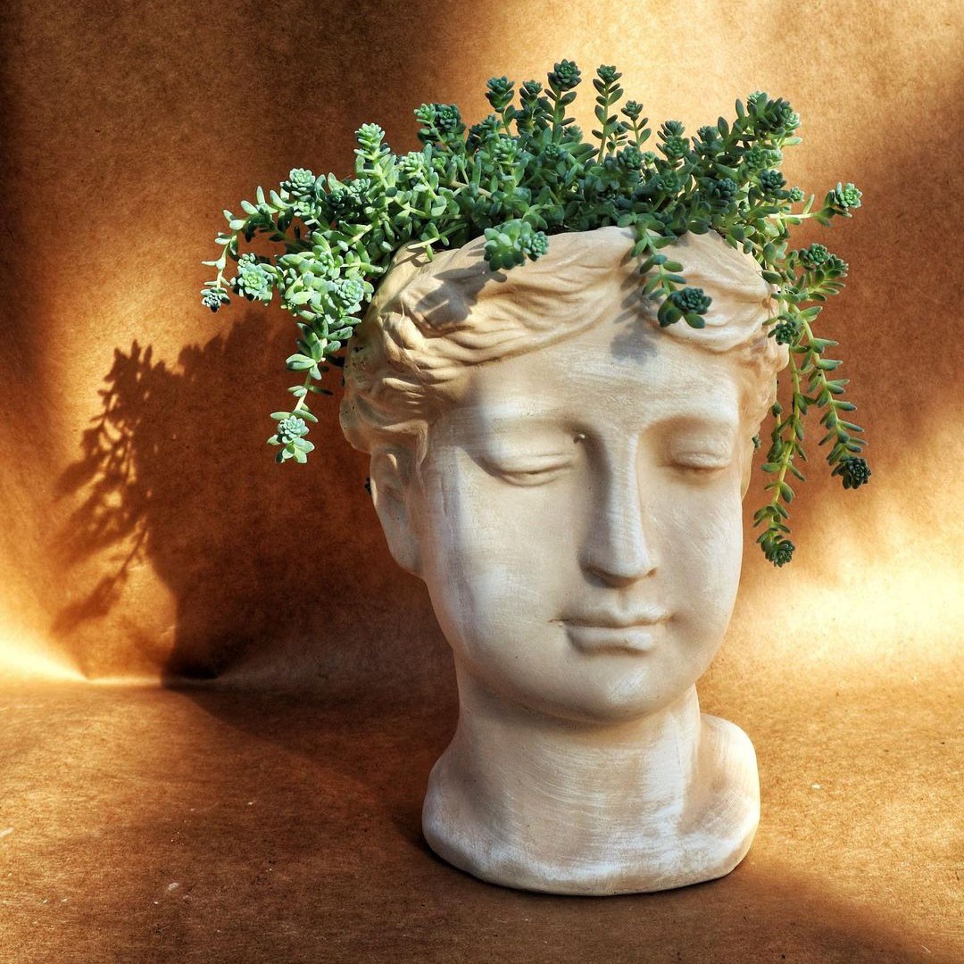 Pot en statue avec succulente