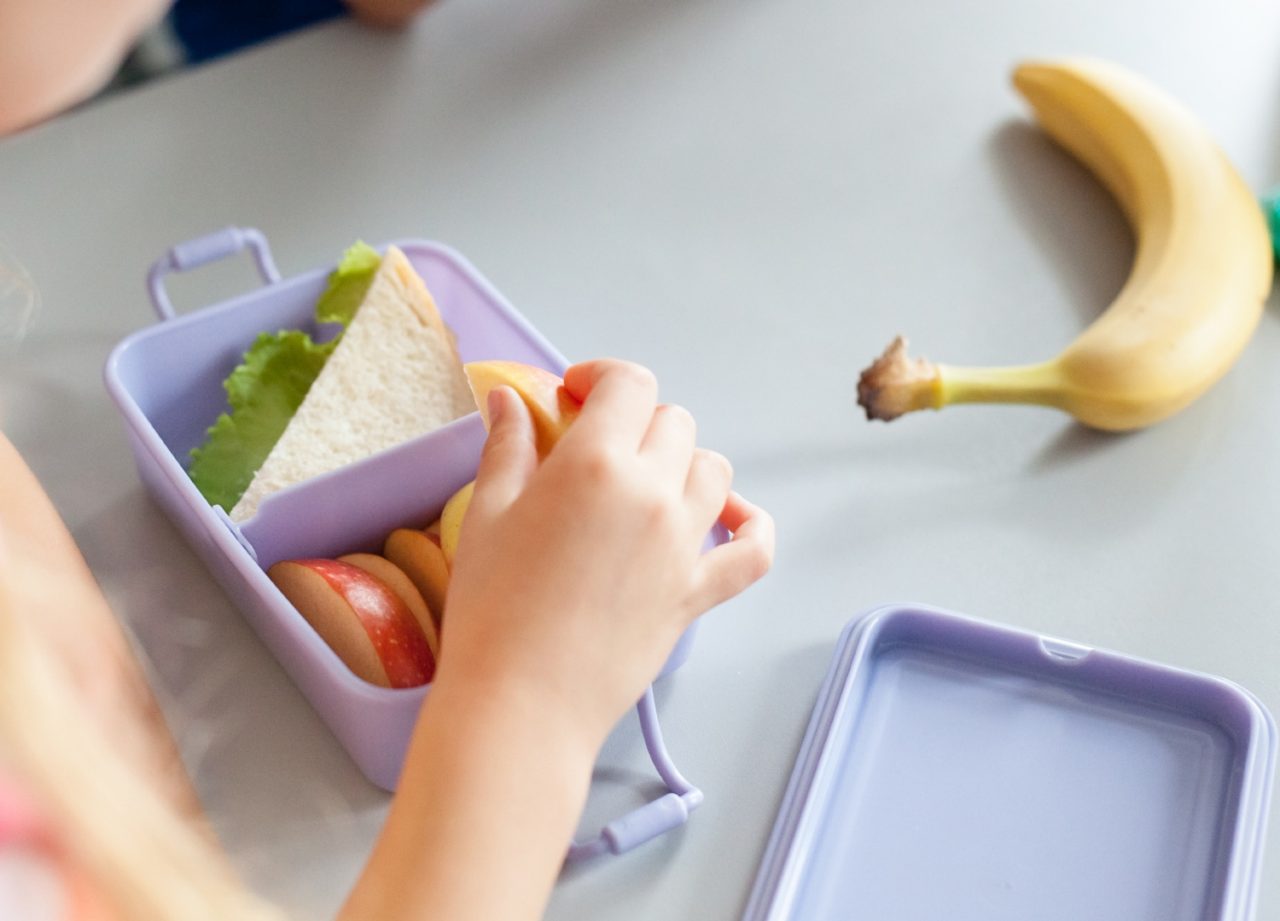 Boîte à Lunch Pour Enfants Avec Compartiments, Boîte à Pique-nique Pour