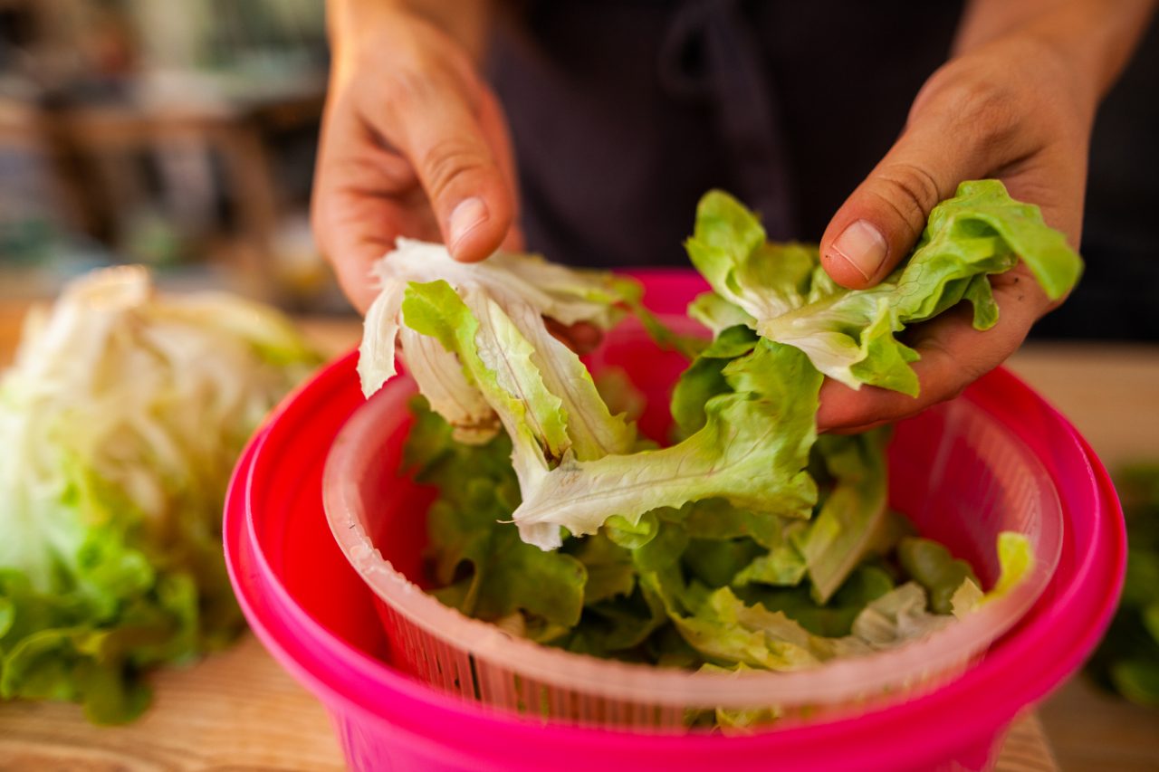 Cette photographie prÃ©sente une personne en train de laver et dÃ©couper une laitue avant la prÃ©paration d'une salade, en cuisine.